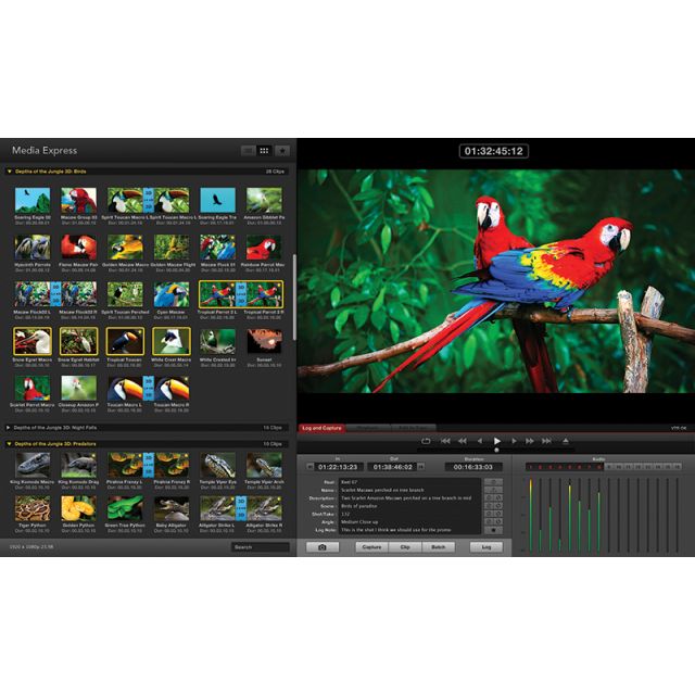 Blackmagic Design DeckLink Studio 4K Capture & Playback Card - 305broadcast