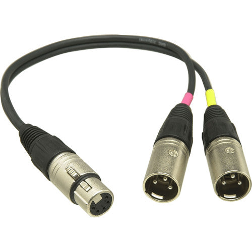 Sennheiser ACS5 5 Pin XLRF to Dual 3 Pin XLRM Adapter (6")